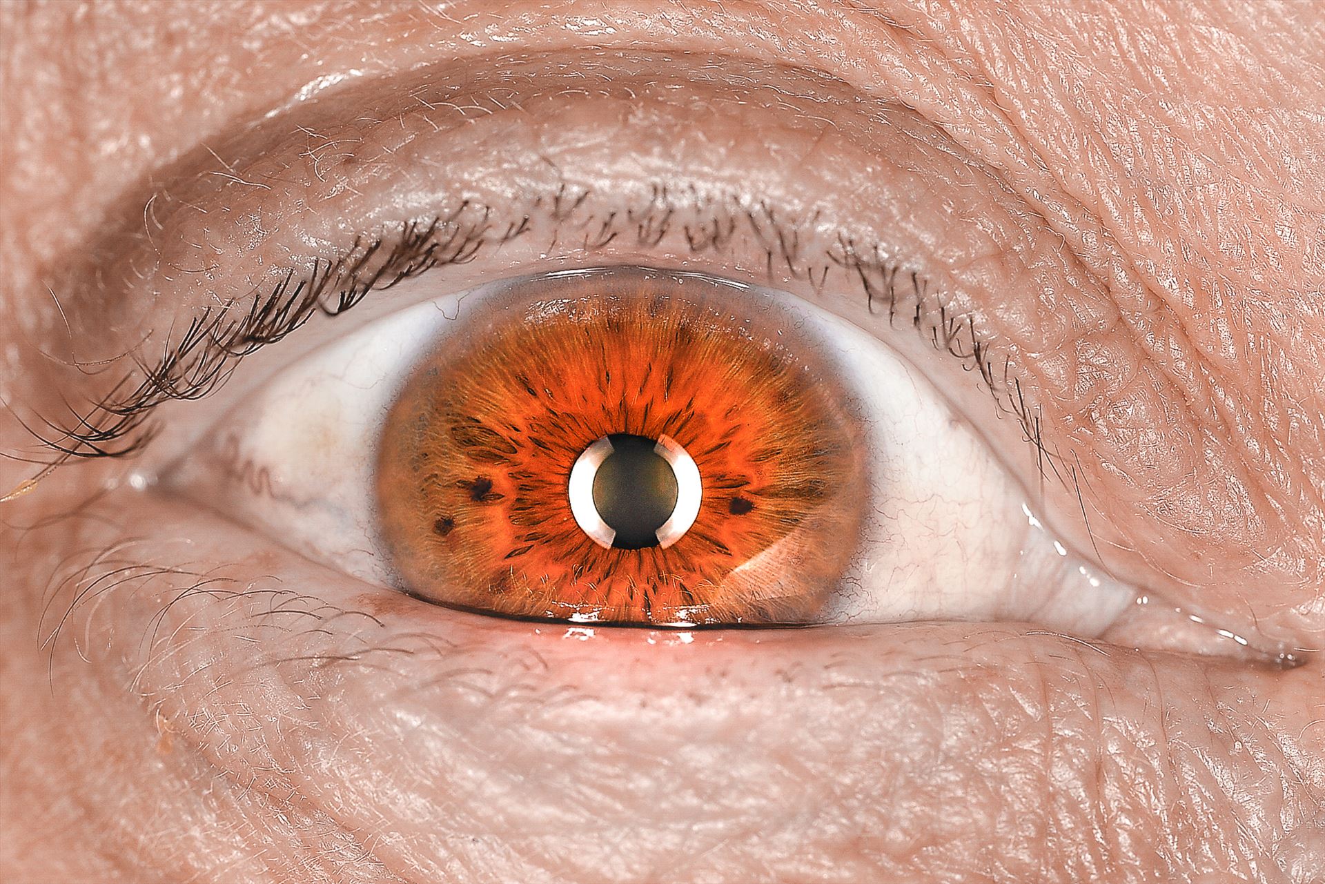 Detail - A close look into an eye by Jimages